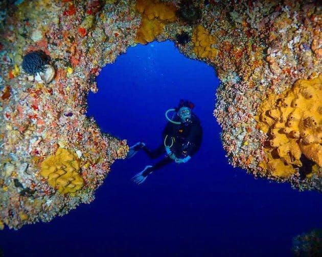 instagram.com/prisia