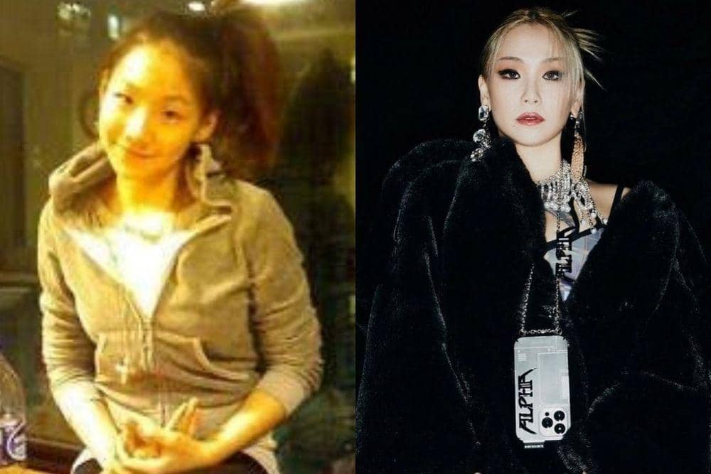 twitter.com, instagram.com/chaelincl