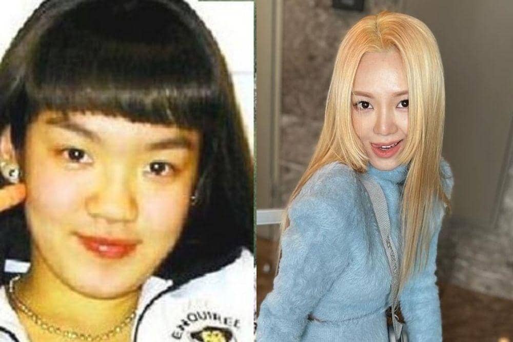 kpopherald.koreaherald.com, instagram.com/hyoyeon_x_x