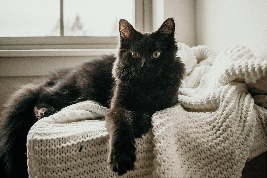 Unsplash.com/Alexander McFeron