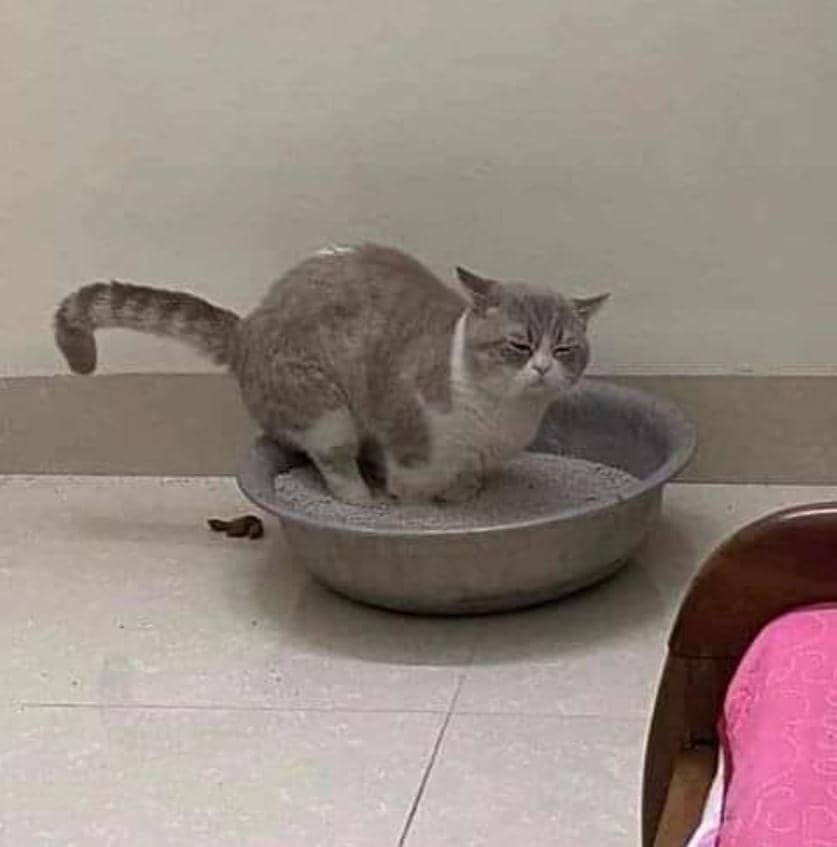 instagram.com/sukijan.id