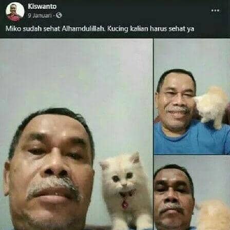 instagram.com/kucinggua