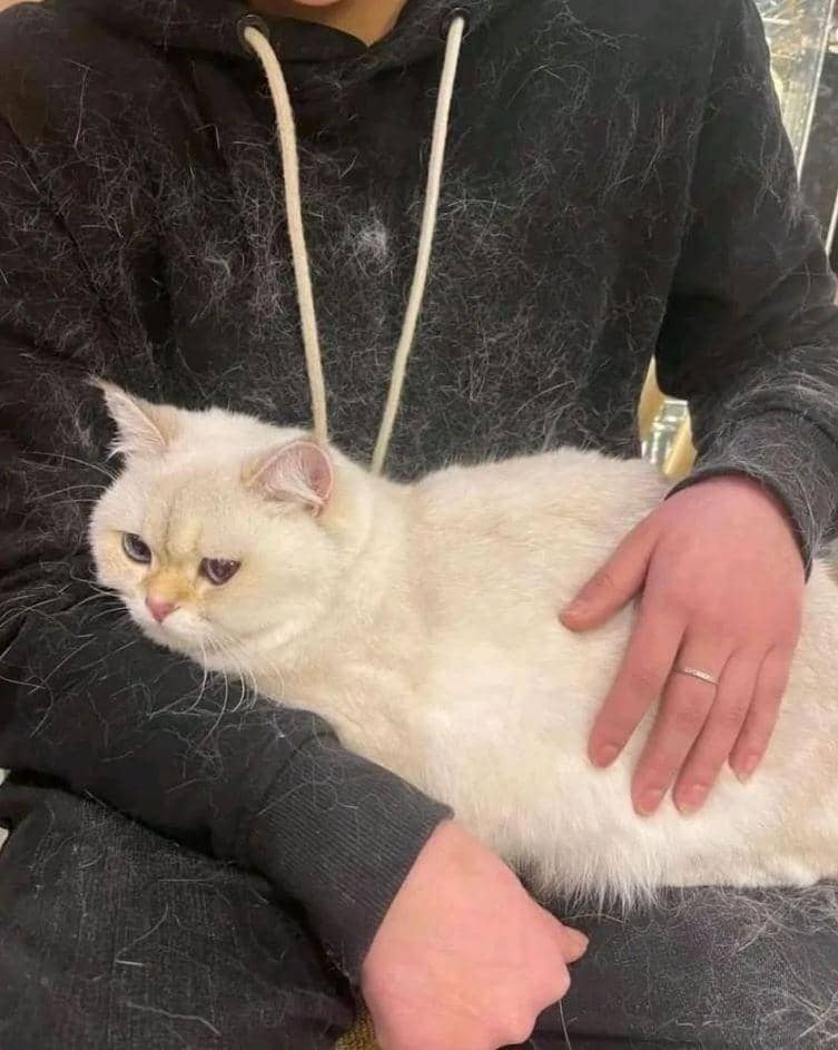 instagram.com/rakyat_plus_62