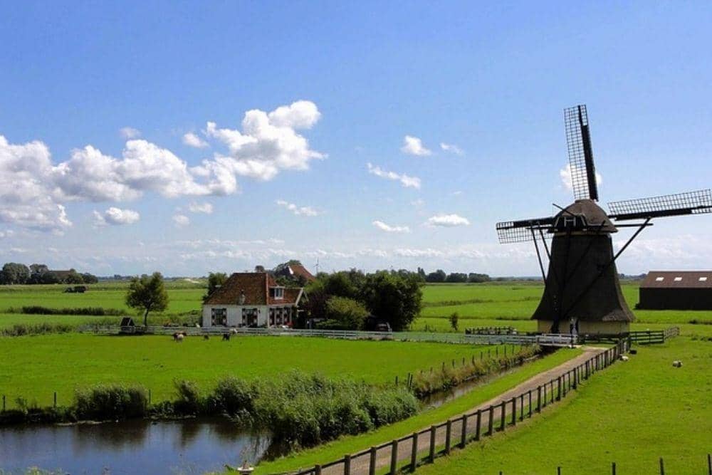 pixabay.com/12019-12019