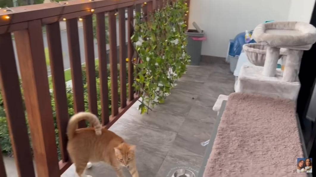 YouTube.com/The Connell Twins