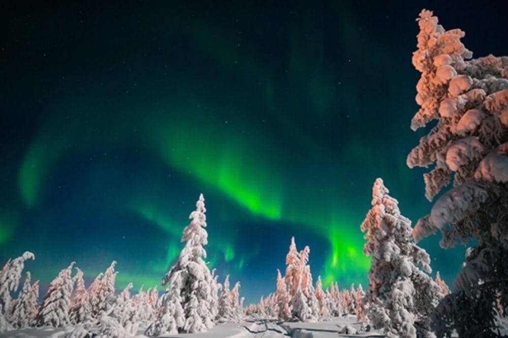 economictimes.indiatimes.com