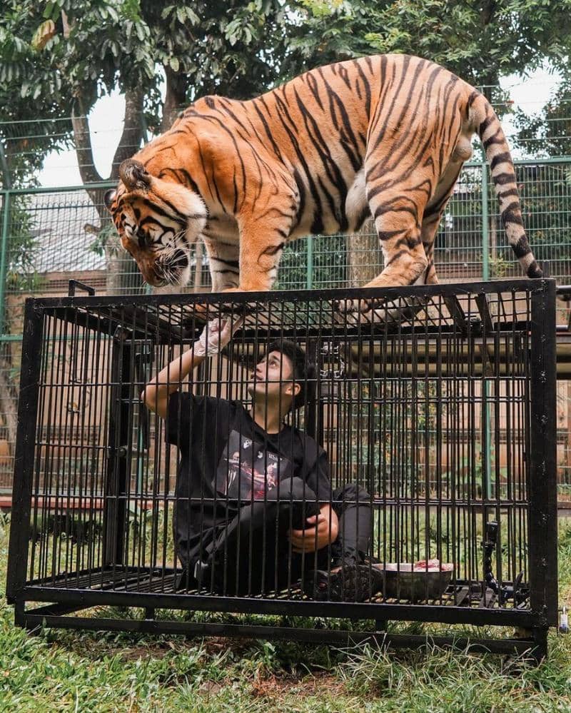 Instagram.com/alshadahmad