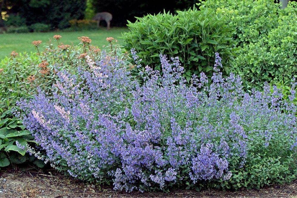 Stonehouse Nursery
