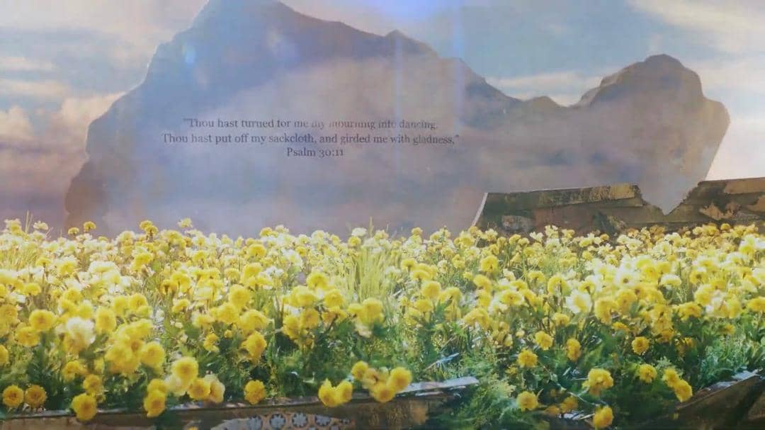 twitter.com/diorpopstar