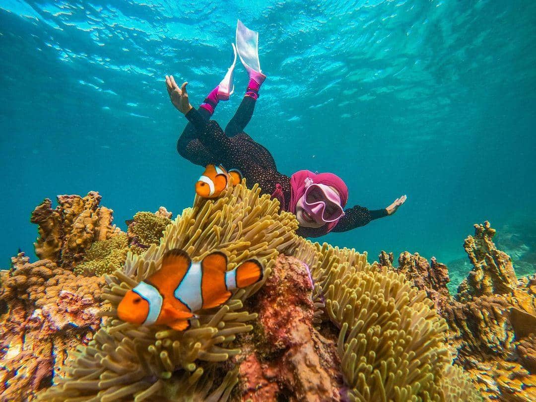 instagram.com/riaricis1795