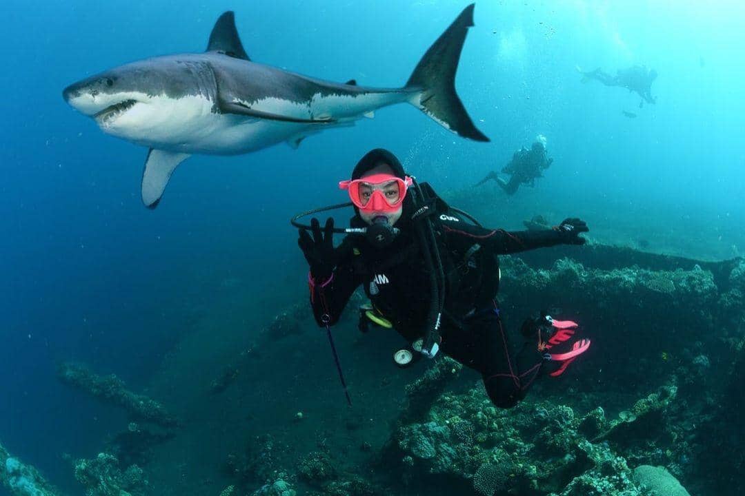 instagram.com/riaricis1795