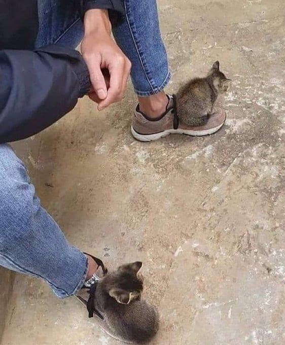 twitter.com/weirdlilguys