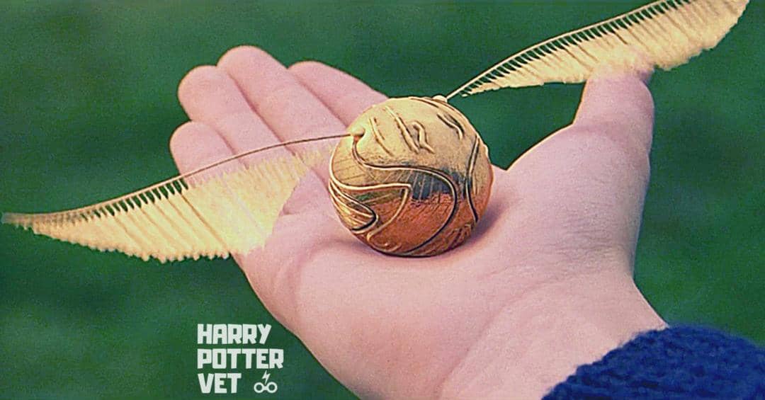 Harrypottervet.com