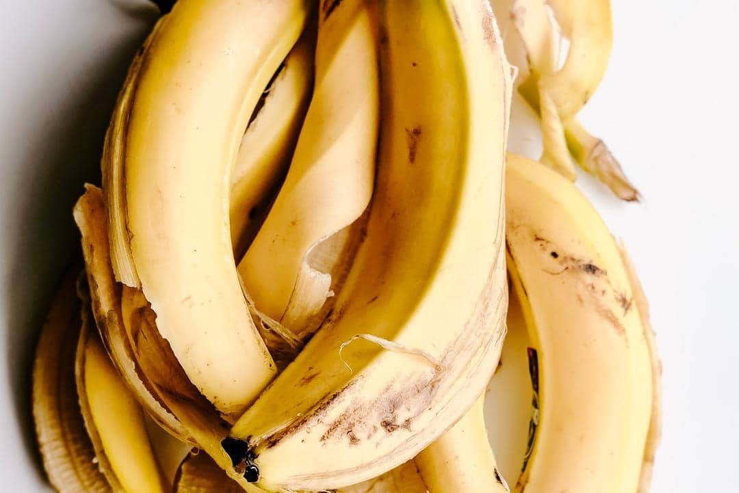 Unsplash.com/Julia Kuzenkov