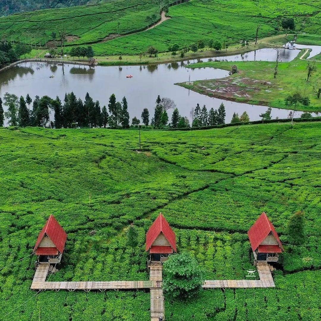 instagram.com/telagasaatpuncak