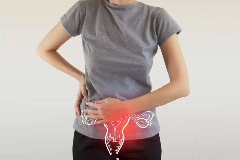 timesofindia.indiatimes.com