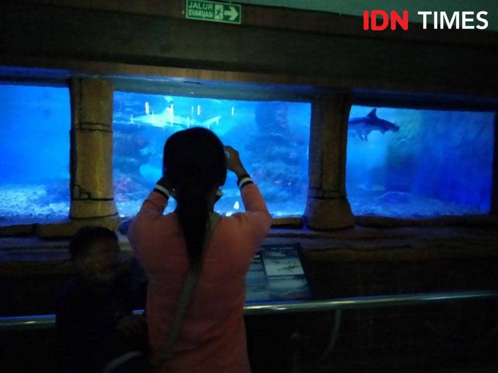 Suasana Kebun Binatang Surabaya di hari Kedua Lebaran, Selasa (3/5/2022). (IDN Times/Khusnul Hasana)