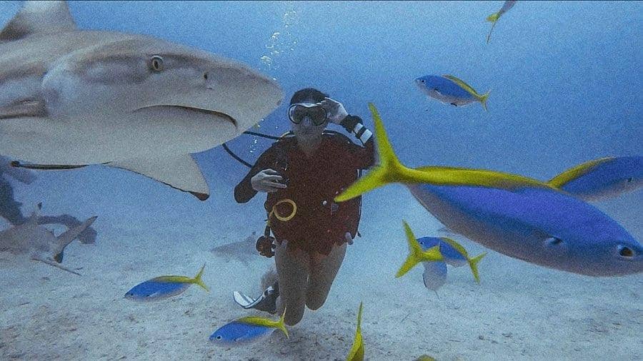 instagram.com/naymirdad/