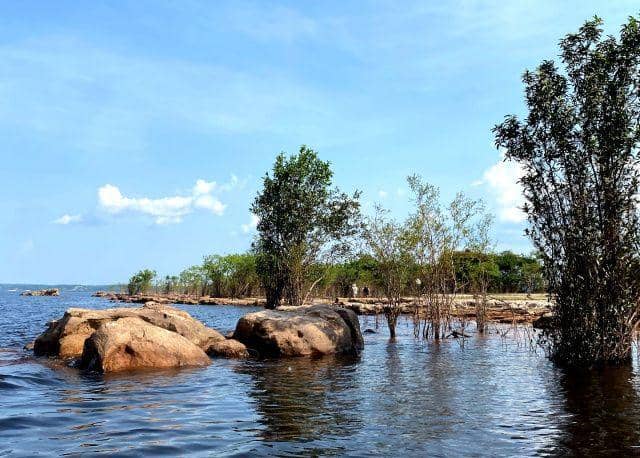 Instagram.com/vivamazonas