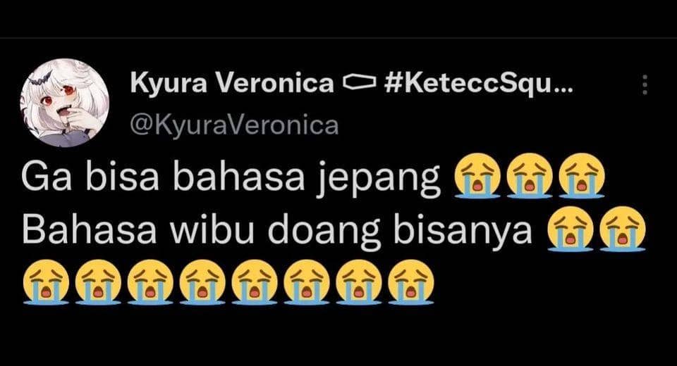 web.facebook.com/KyuraVeronica.01