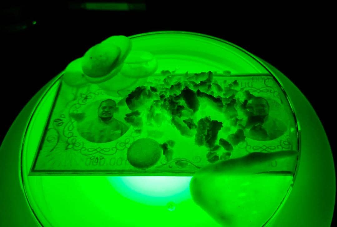 Popbela.com/Niken Ari