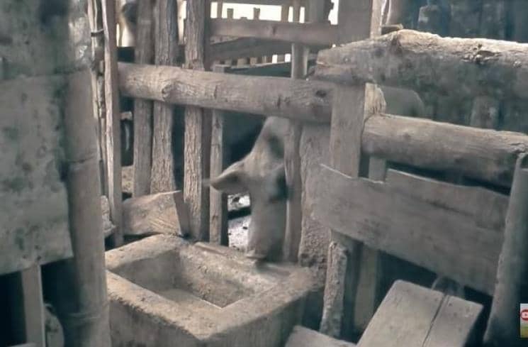 Youtube.com/Ferdy Peto