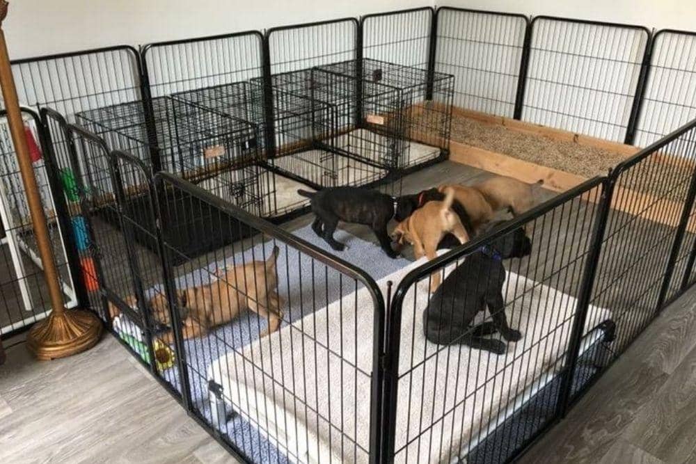 id.pinterest.com/MadisonWard3104