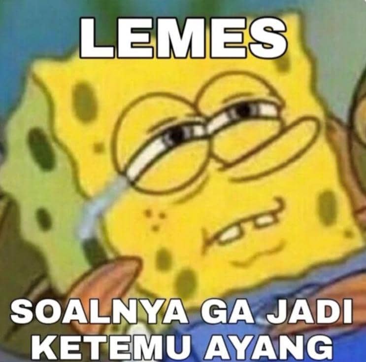 twitter.com/@zashfira