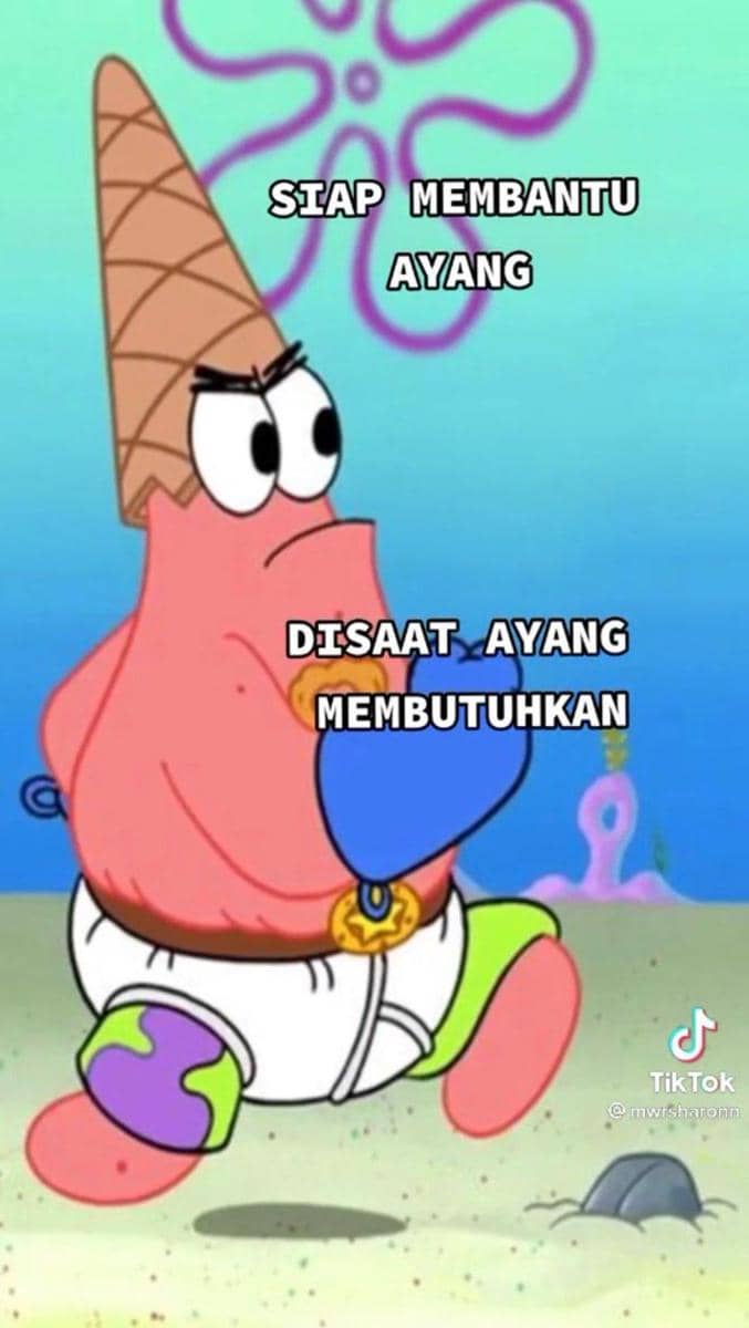 twitter.com/@zashfira