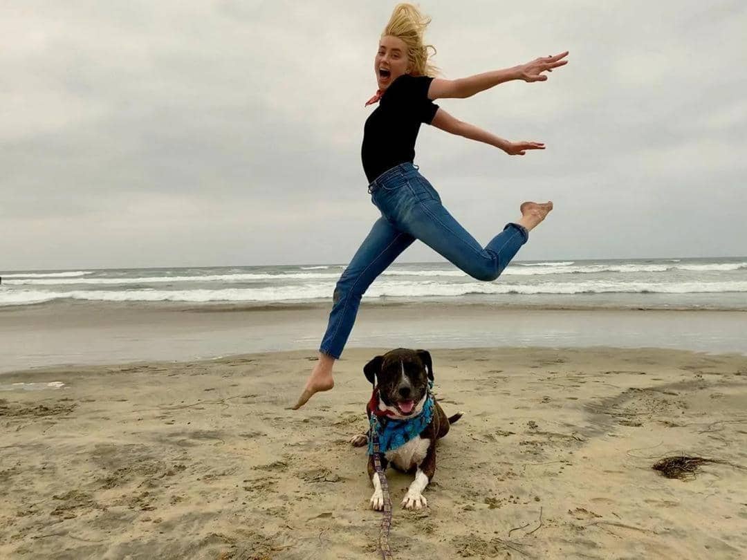 Instagram.com/ @amberheard