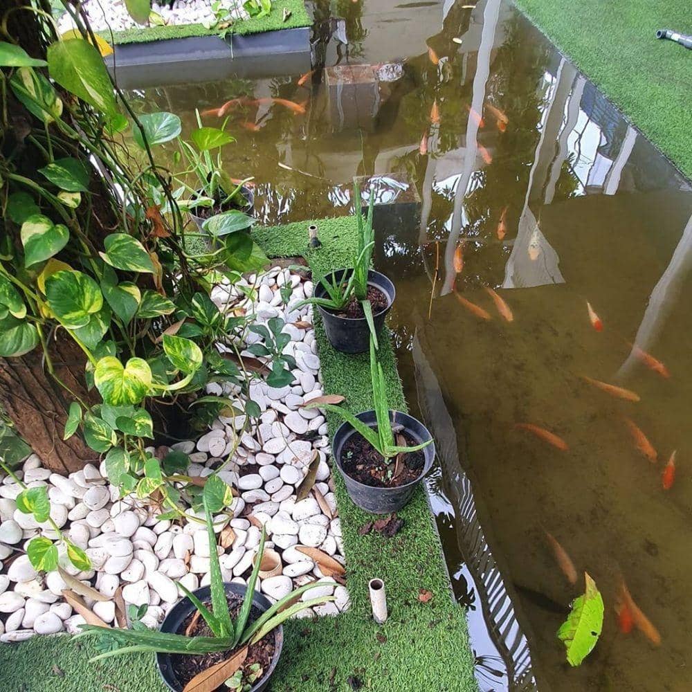 instagram.com/yusufmansurnew