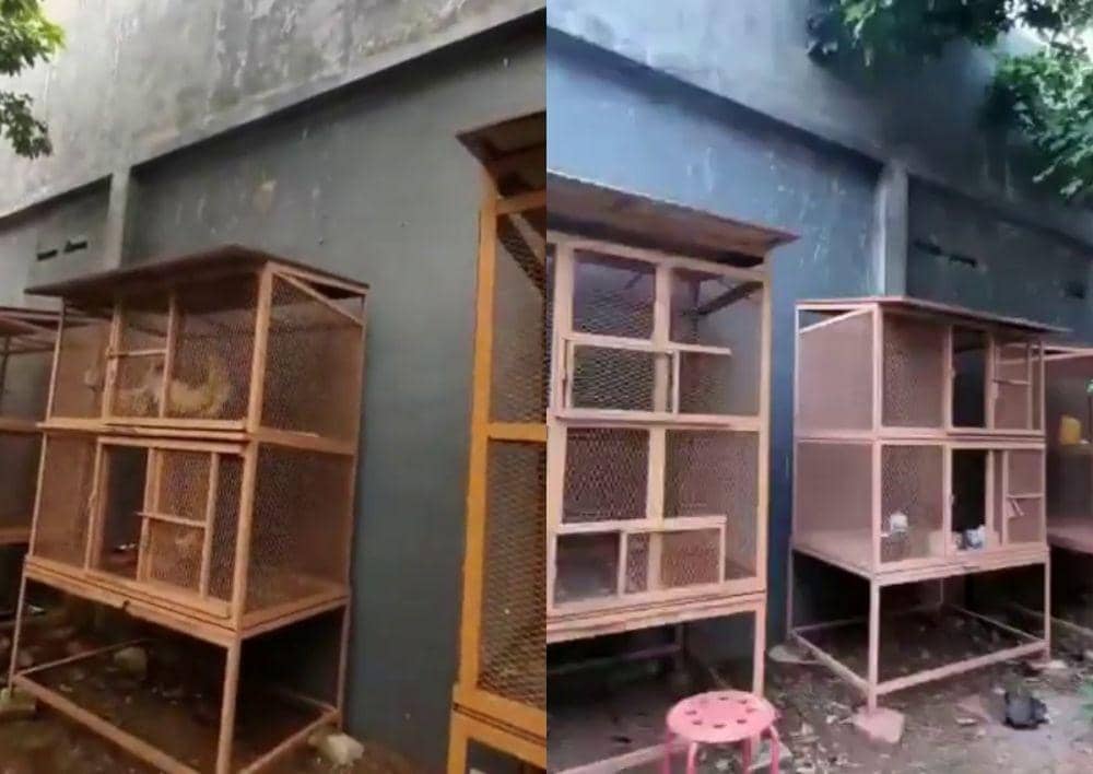 instagram.com/yusufmansurnew