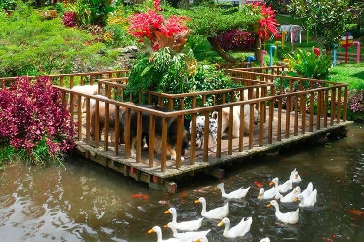 Instagram @rumahguguk