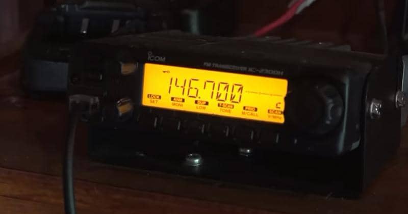 Youtube.com/Chanee Kalaweit