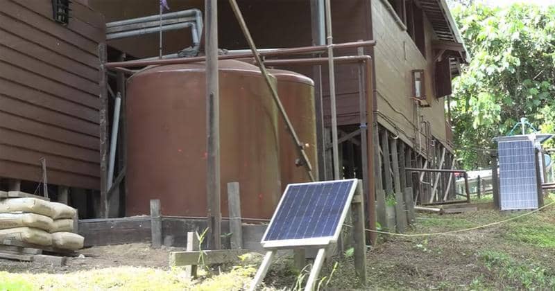 Youtube.com/Chanee Kalaweit