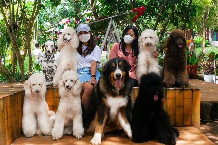 Instagram @rumahguguk