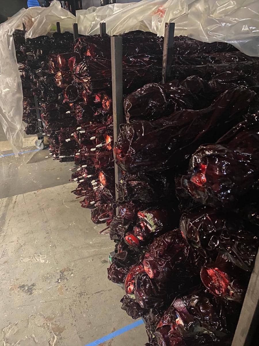 twitter.com/strangerwriters