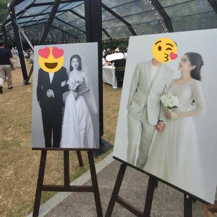 Instagram.com/@gilncat