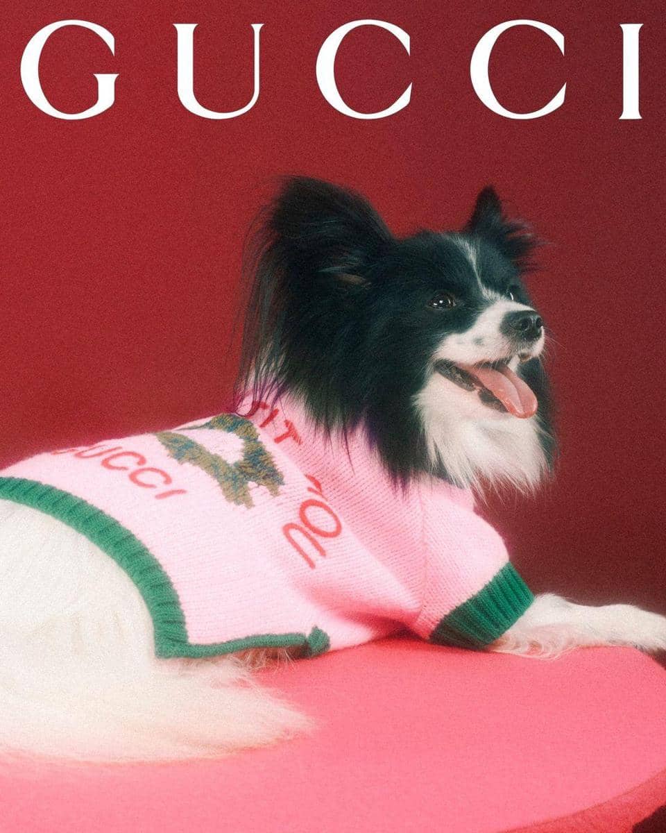 dok. Gucci