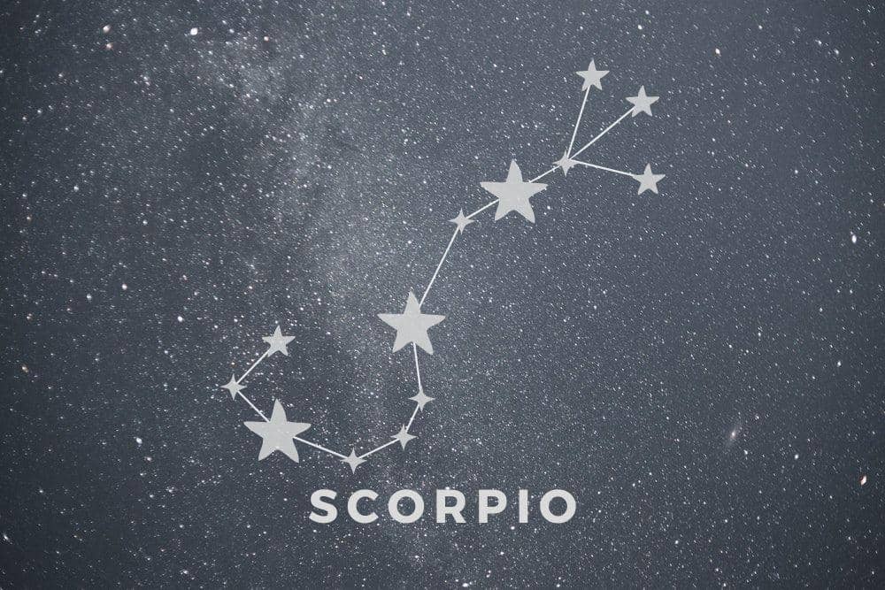 pexel.com/erik-mclean, canva.com