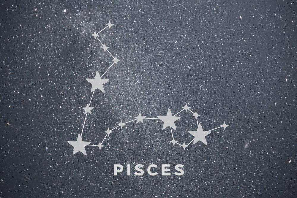 pexel.com/erik-mclean, canva.com