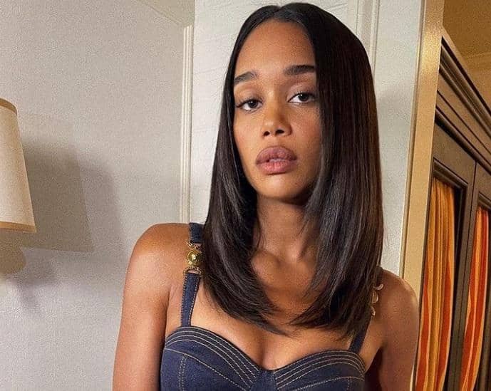 instagram.com/lauraharrier