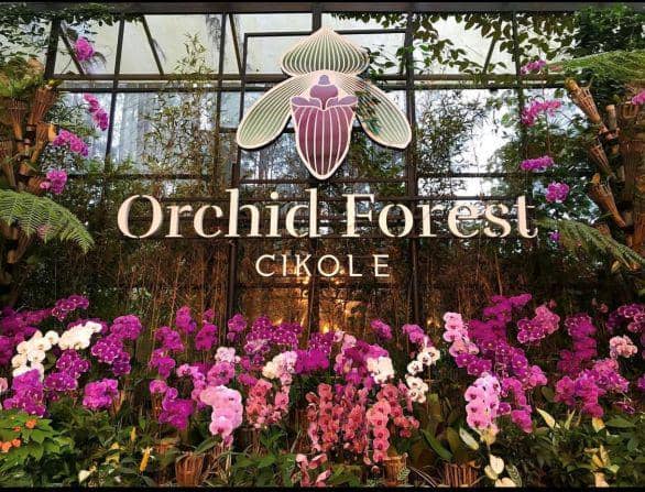 Orchid Forest Cikole (instagram.com/orchidforestcikole)