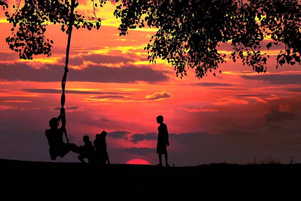 Pexels/ Shuvrasankha Paul