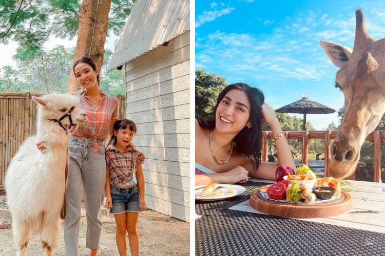 instagram.com/gisel_la  /  instagram.com/inijedar