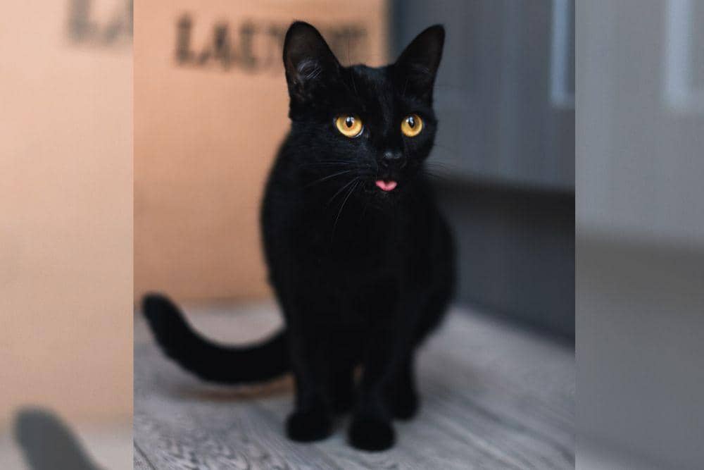 unsplash.com/AntonPonomarenko