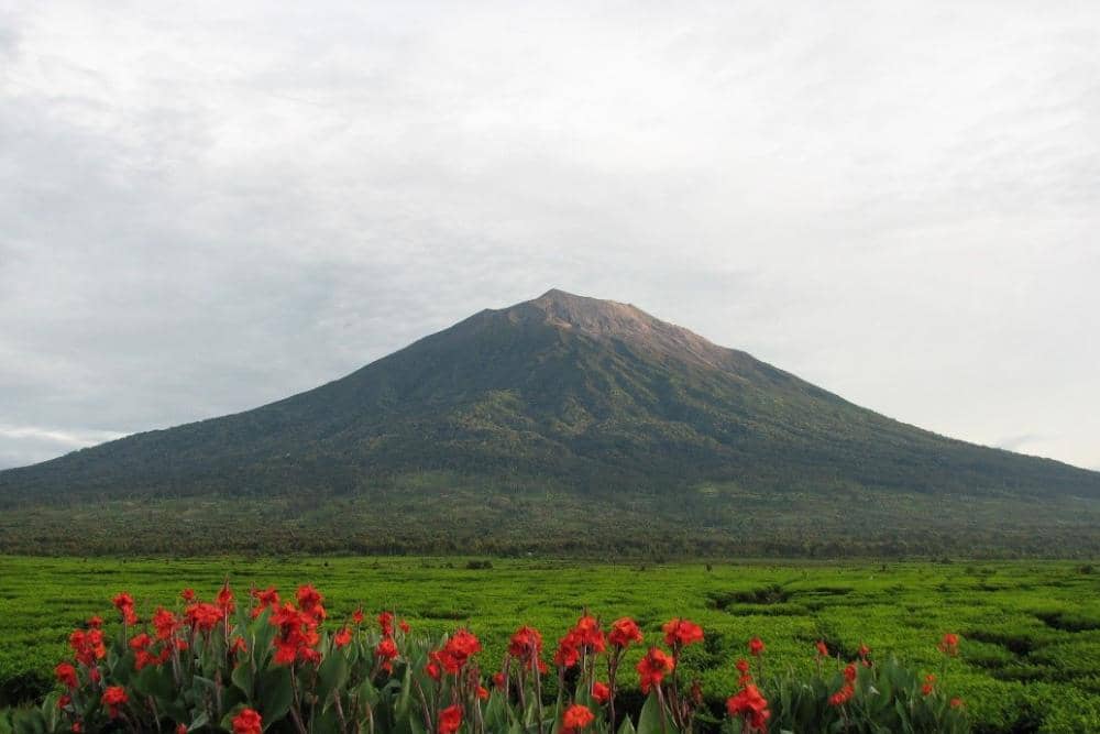 goodnewsfromindonesia.id