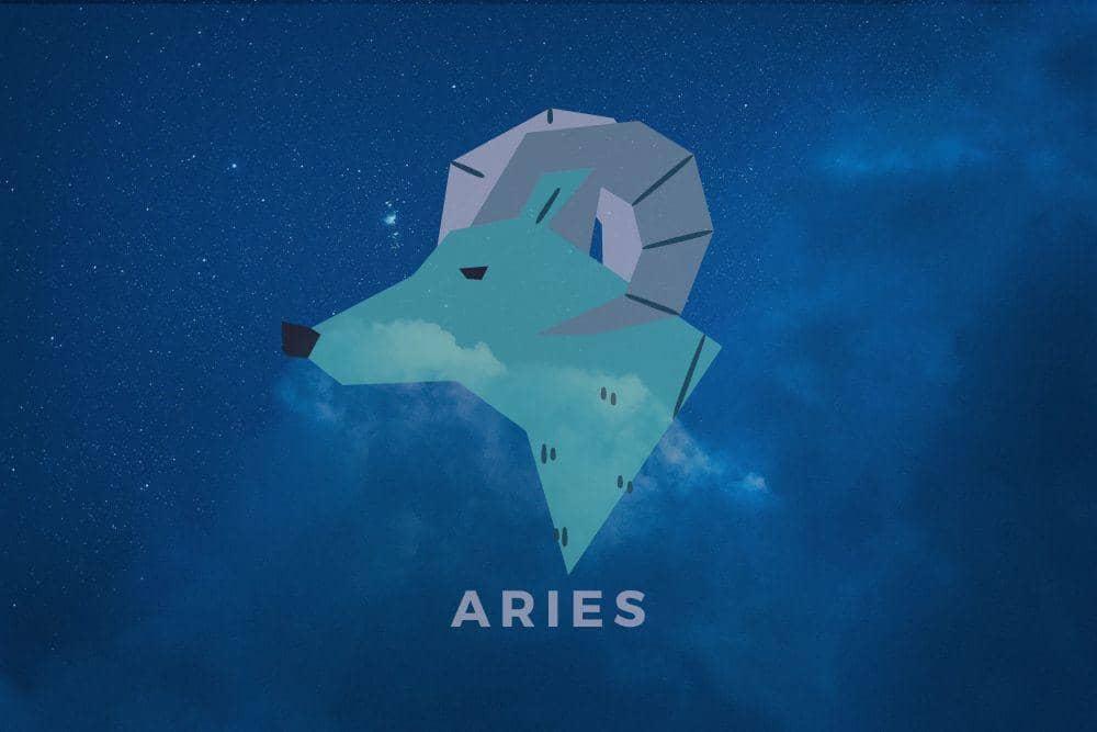 pexels.com/rafael-cerqueira