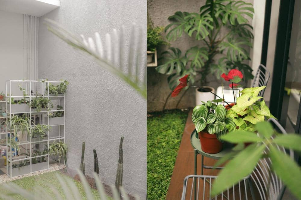 instagram.com/dhaturembulan