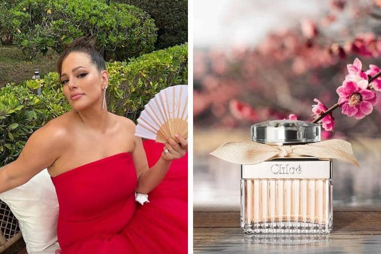 instagram.com/ashleygraham / pinterest